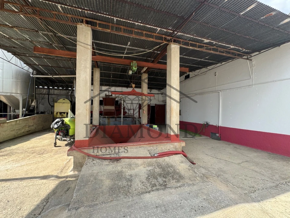 Negócio para Venda em Fazendas de Almeirim Foto 1