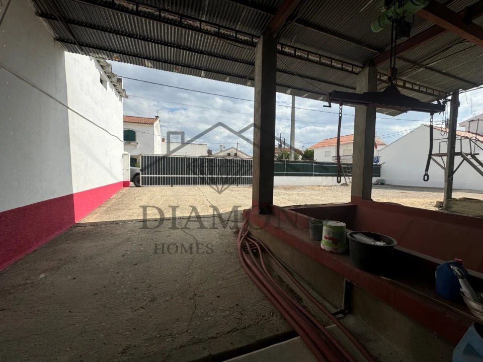 Negócio para Venda em Fazendas de Almeirim Foto 17