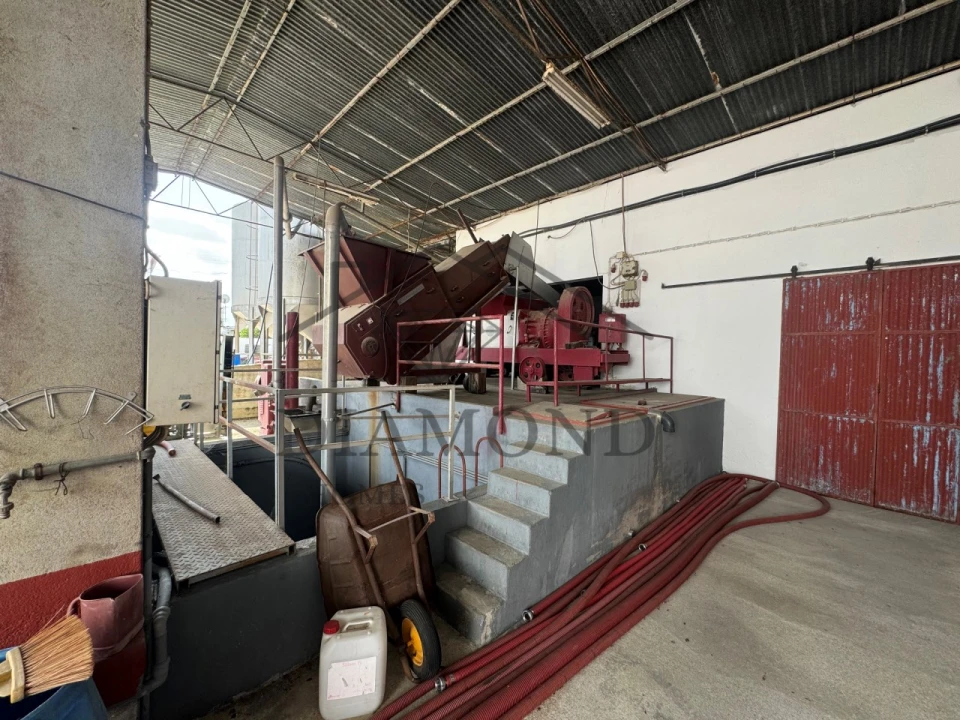 Negócio para Venda em Fazendas de Almeirim Foto 18