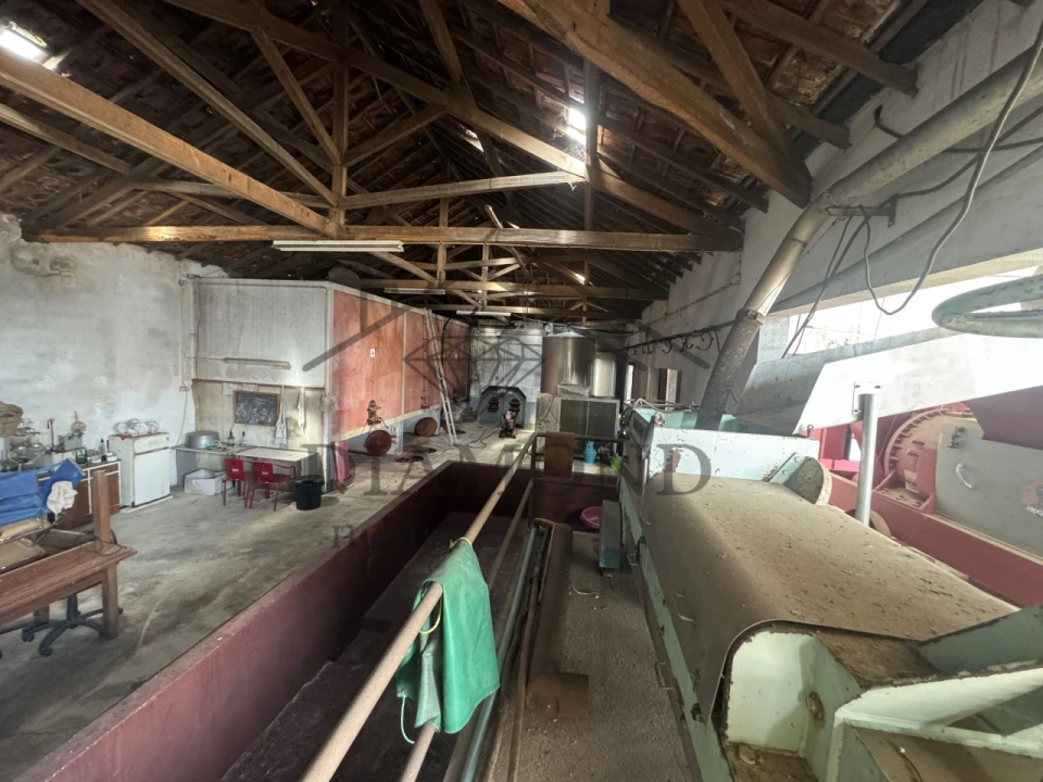 Negócio para Venda em Fazendas de Almeirim Foto 25