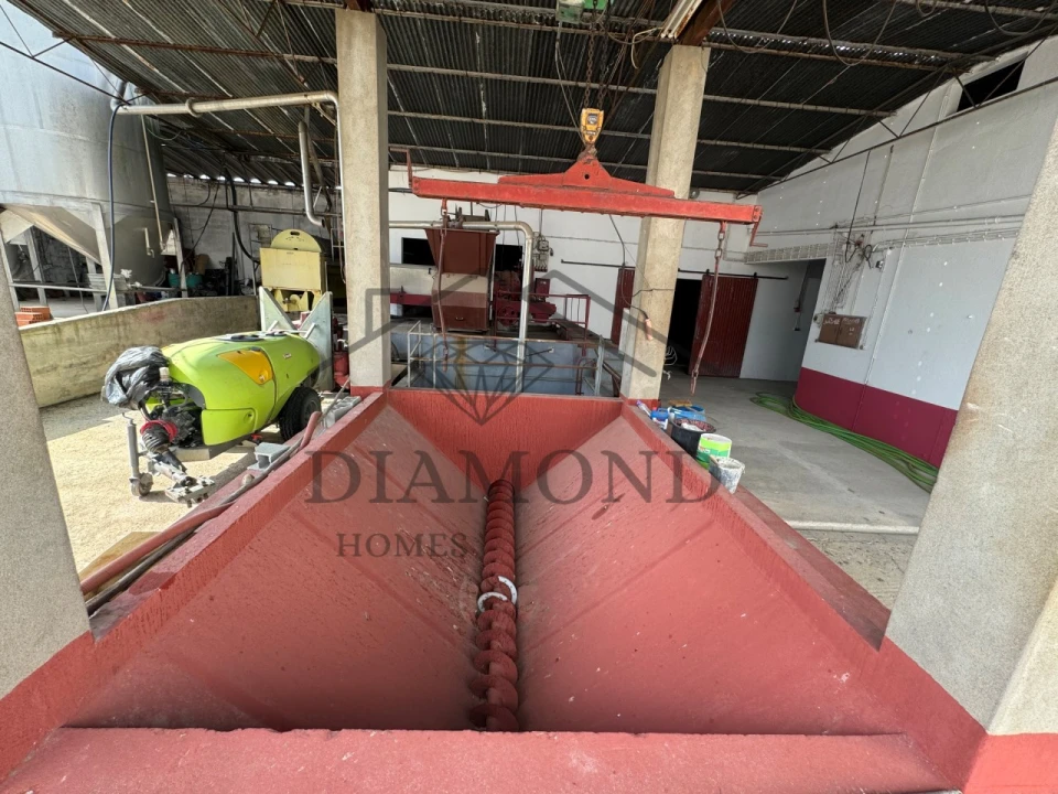 Negócio para Venda em Fazendas de Almeirim Foto 29