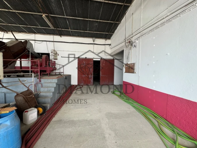 Negócio para Venda em Fazendas de Almeirim Foto 19