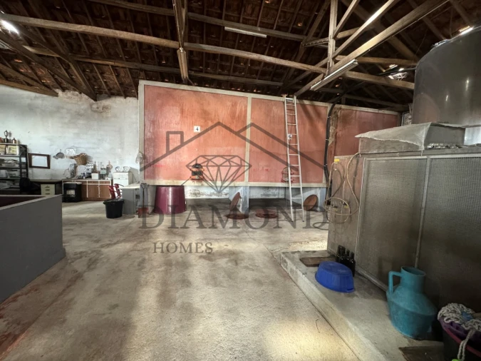 Negócio para Venda em Fazendas de Almeirim Foto 20