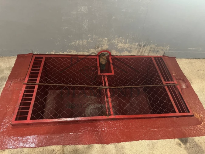 Negócio para Venda em Fazendas de Almeirim Foto 24