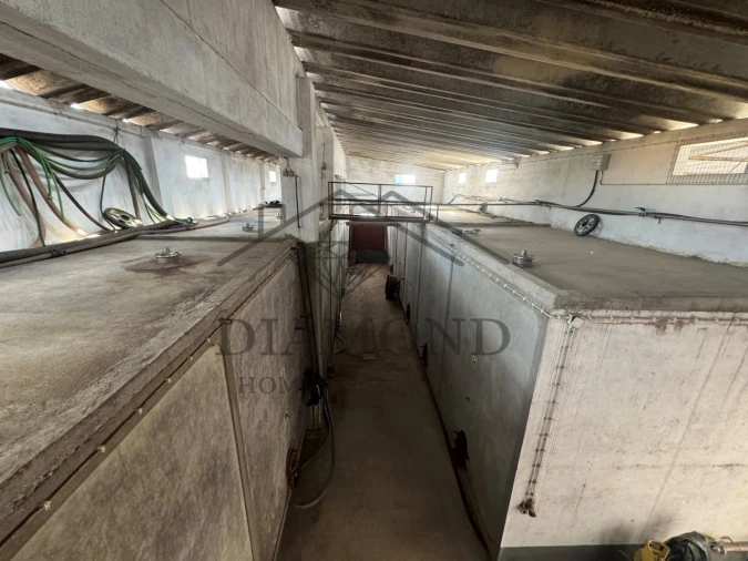 Negócio para Venda em Fazendas de Almeirim Foto 27