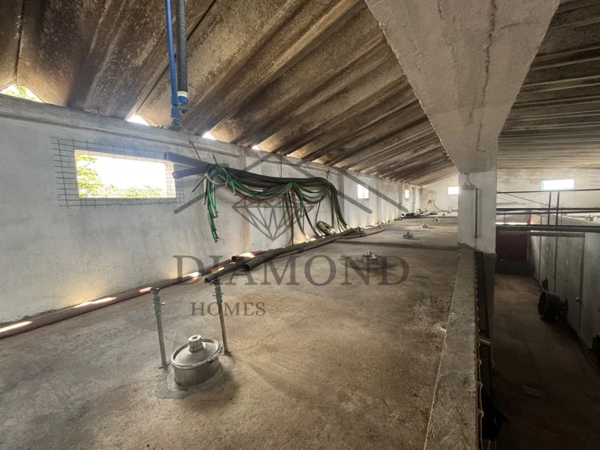 Negócio para Venda em Fazendas de Almeirim Foto 28