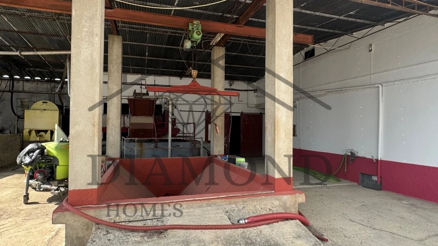 Negócio para Venda em Fazendas de Almeirim