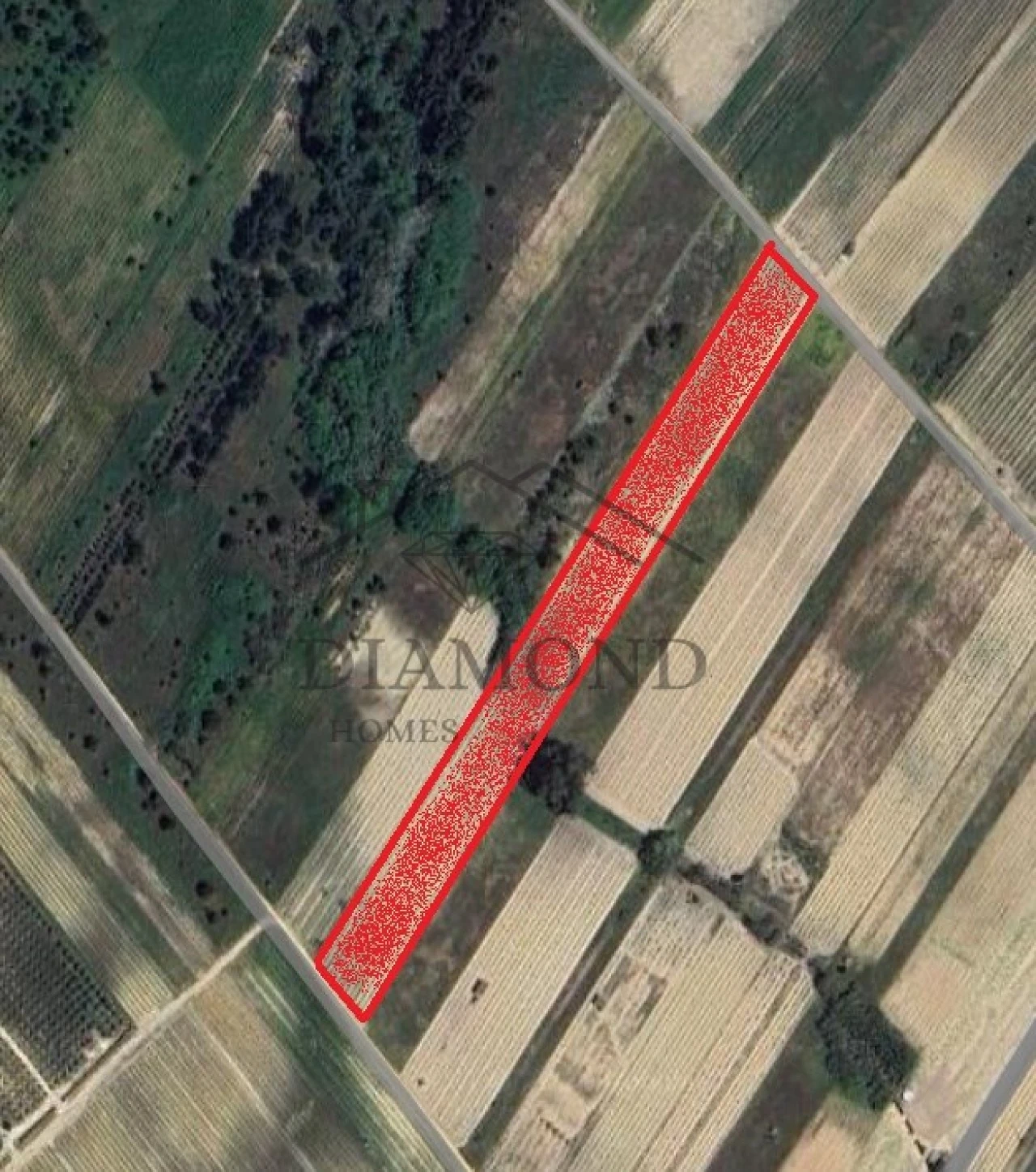 Terreno Agricola ou Rústico para Venda em Alpiarça Foto 1