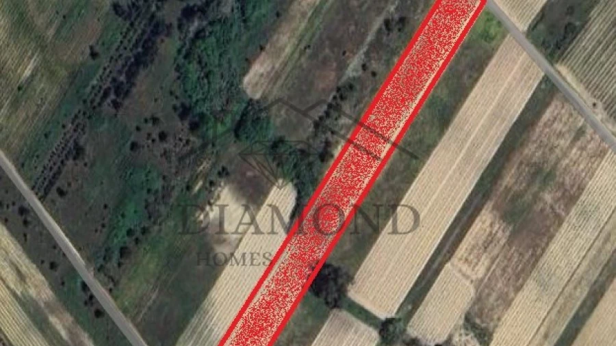 Terreno Agricola ou Rústico para Venda em Alpiarça