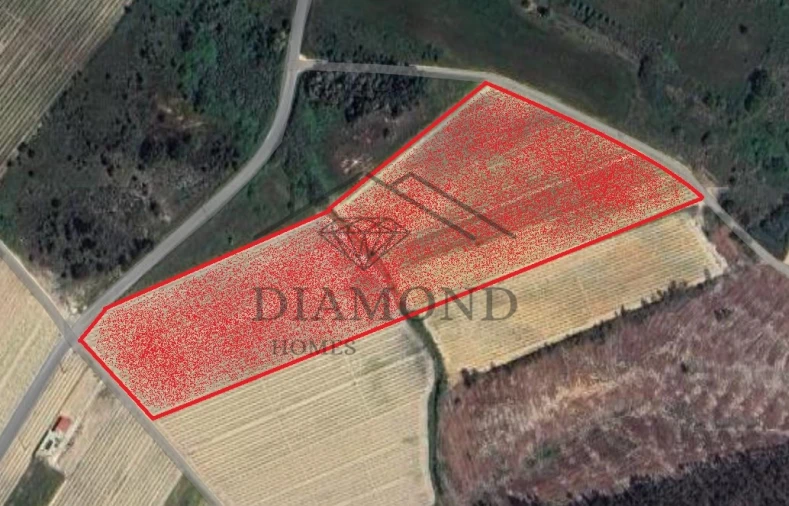 Terreno Agricola ou Rústico para Venda em Alpiarça Foto 1