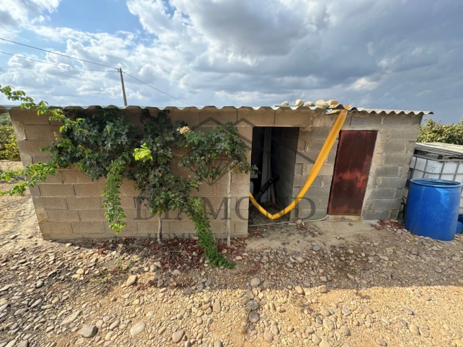 Terreno Agricola ou Rústico para Venda em Alpiarça Foto 5