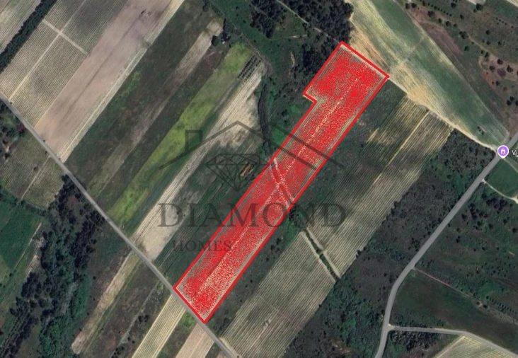 Terreno Agricola ou Rústico para Venda em Alpiarça