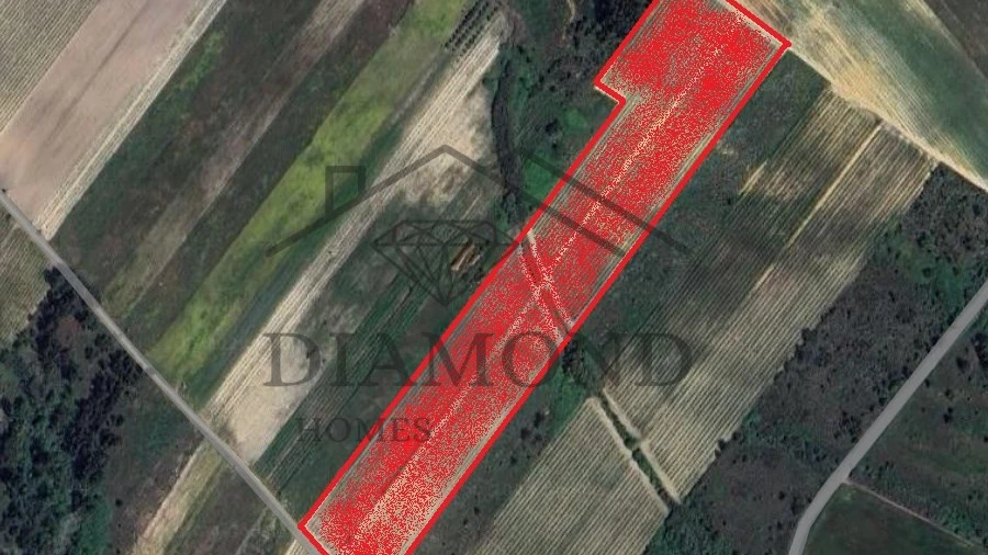 Terreno Agricola ou Rústico para Venda em Alpiarça