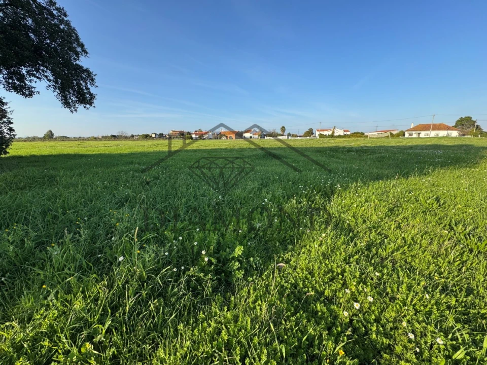 Terreno para Venda em Alpiarça Foto 1
