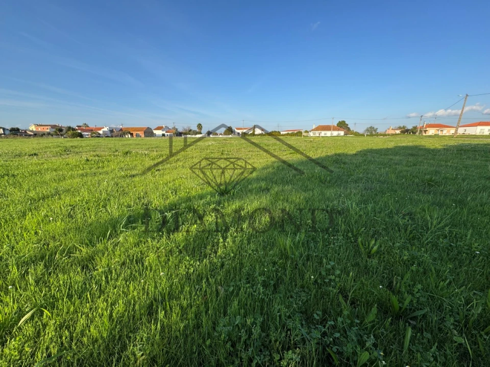 Terreno para Venda em Alpiarça Foto 2