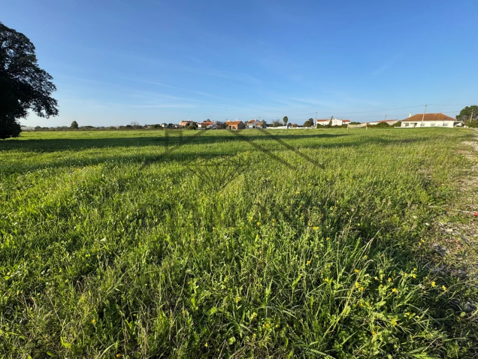 Terreno para Venda em Alpiarça Foto 3