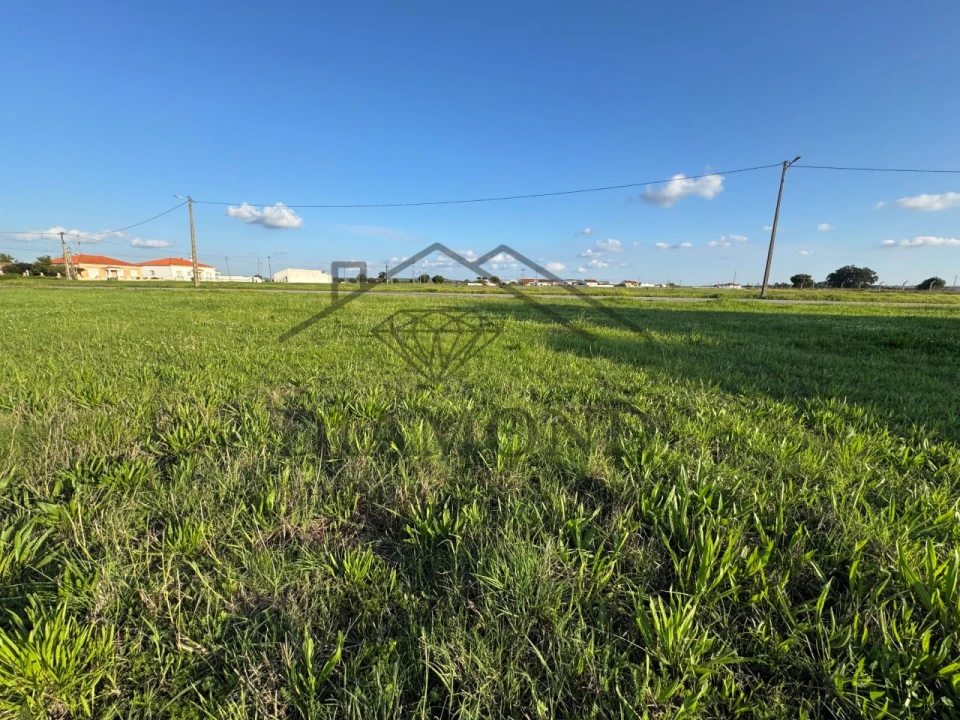 Terreno para Venda em Alpiarça Foto 4