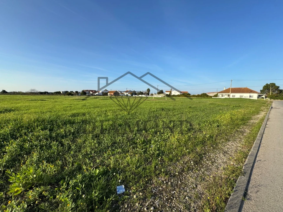 Terreno para Venda em Alpiarça Foto 5