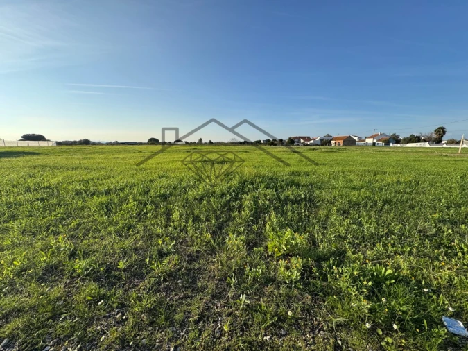 Terreno para Venda em Alpiarça Foto 6