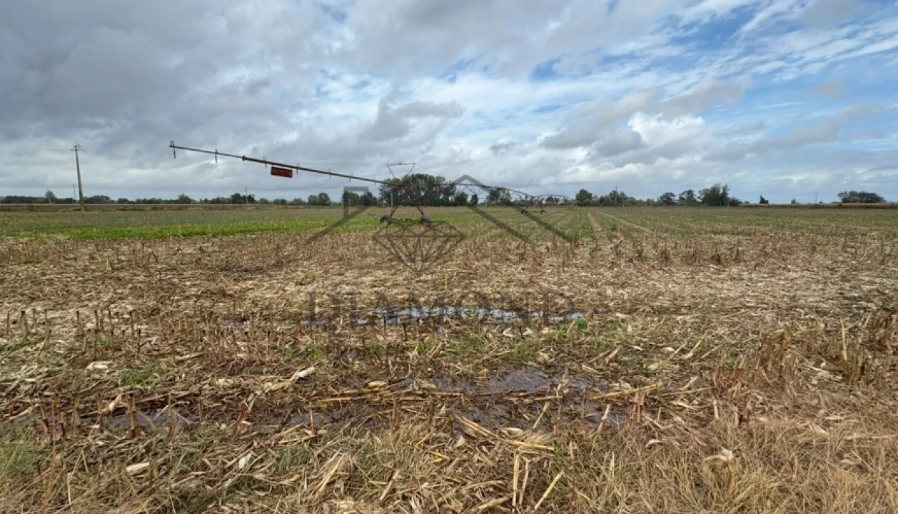 Terreno Agricola ou Rústico para Venda em Vale de Cavalos Foto 1