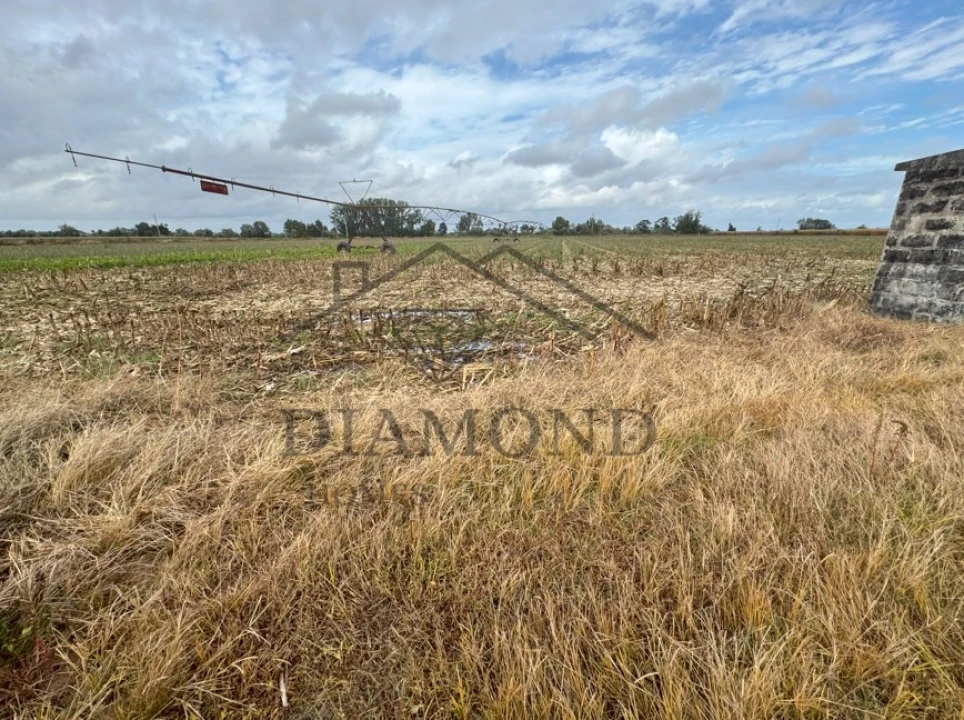 Terreno Agricola ou Rústico para Venda em Vale de Cavalos Foto 4