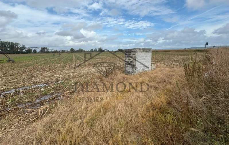 Terreno Agricola ou Rústico para Venda em Vale de Cavalos Foto 2