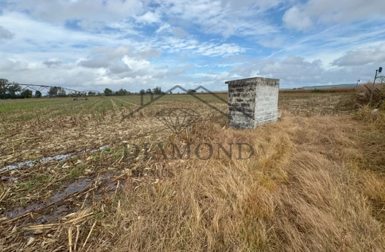 Terreno Agricola ou Rústico para Venda em Vale de Cavalos Foto 3