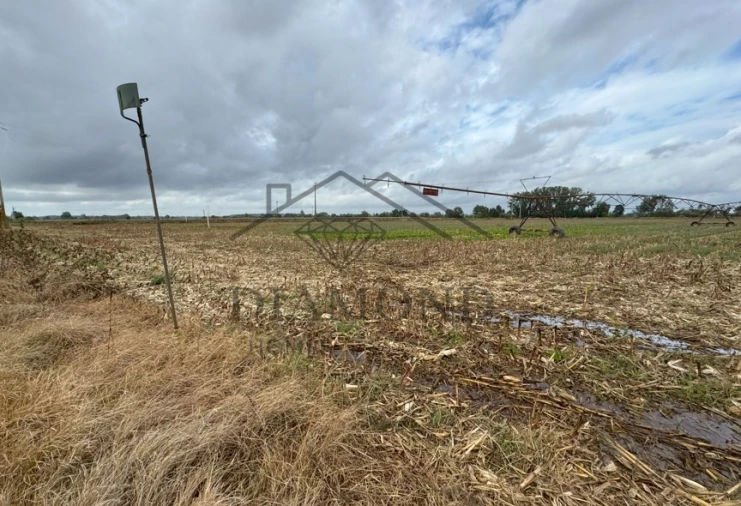 Terreno Agricola ou Rústico para Venda em Vale de Cavalos Foto 5