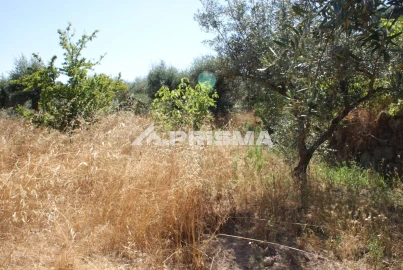 Terreno para Venda em Ninho do Açor e Sobral do Campo
