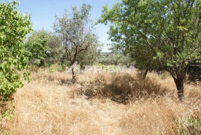 Terreno para Venda em Ninho do Açor e Sobral do Campo