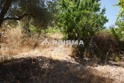 Terreno para Venda em Ninho do Açor e Sobral do Campo