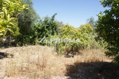 Terreno para Venda em Ninho do Açor e Sobral do Campo
