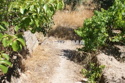 Terreno para Venda em Ninho do Açor e Sobral do Campo