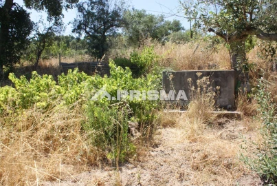 Terreno para Venda em Ninho do Açor e Sobral do Campo