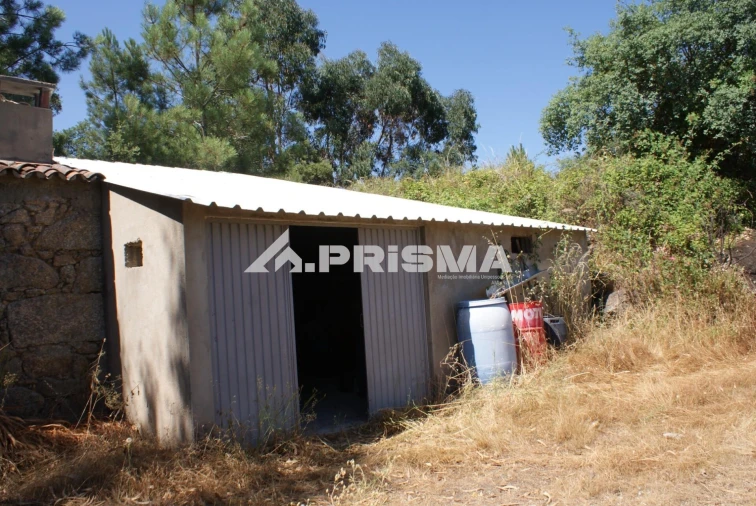 Terreno para Venda em Ninho do Açor e Sobral do Campo Foto 9
