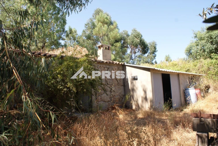 Terreno para Venda em Ninho do Açor e Sobral do Campo Foto 38