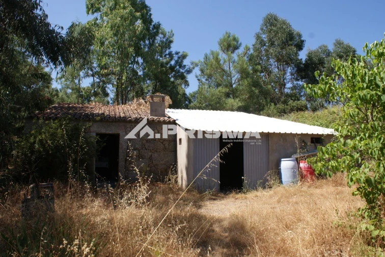 Terreno para Venda em Ninho do Açor e Sobral do Campo Foto 43