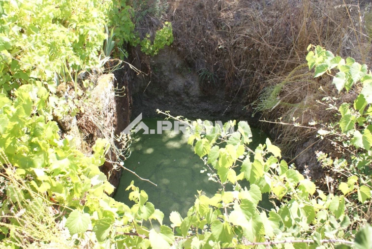 Terreno para Venda em Ninho do Açor e Sobral do Campo Foto 16