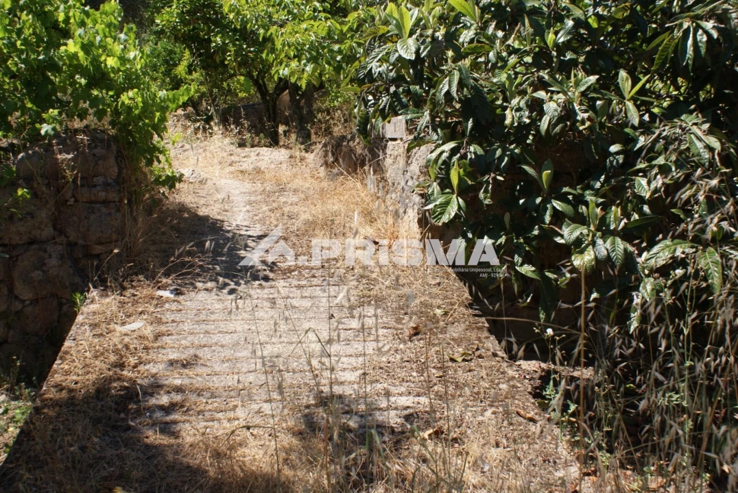 Terreno para Venda em Ninho do Açor e Sobral do Campo Foto 32