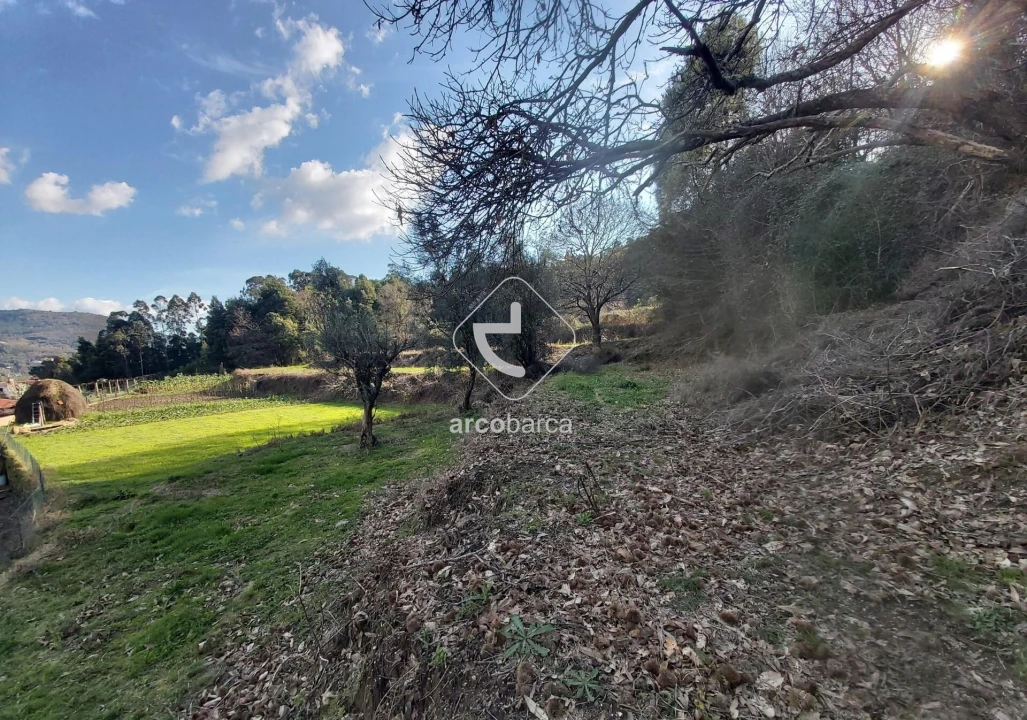 Terreno para Venda em Labruja Foto 19