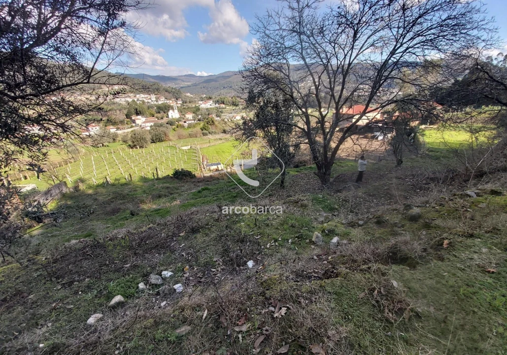 Terreno para Venda em Labruja Foto 18