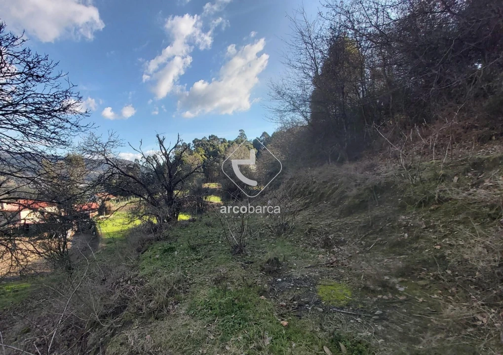 Terreno para Venda em Labruja Foto 16