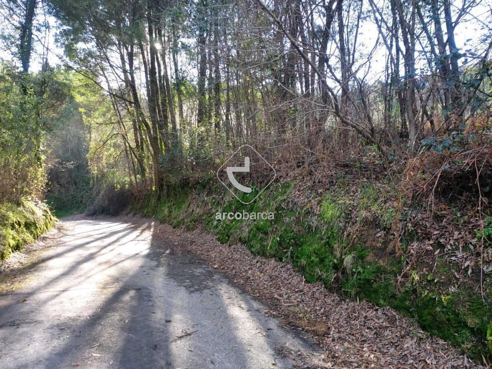 Terreno para Venda em Labruja Foto 24