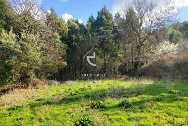 Terreno para Venda em Labruja Foto 7