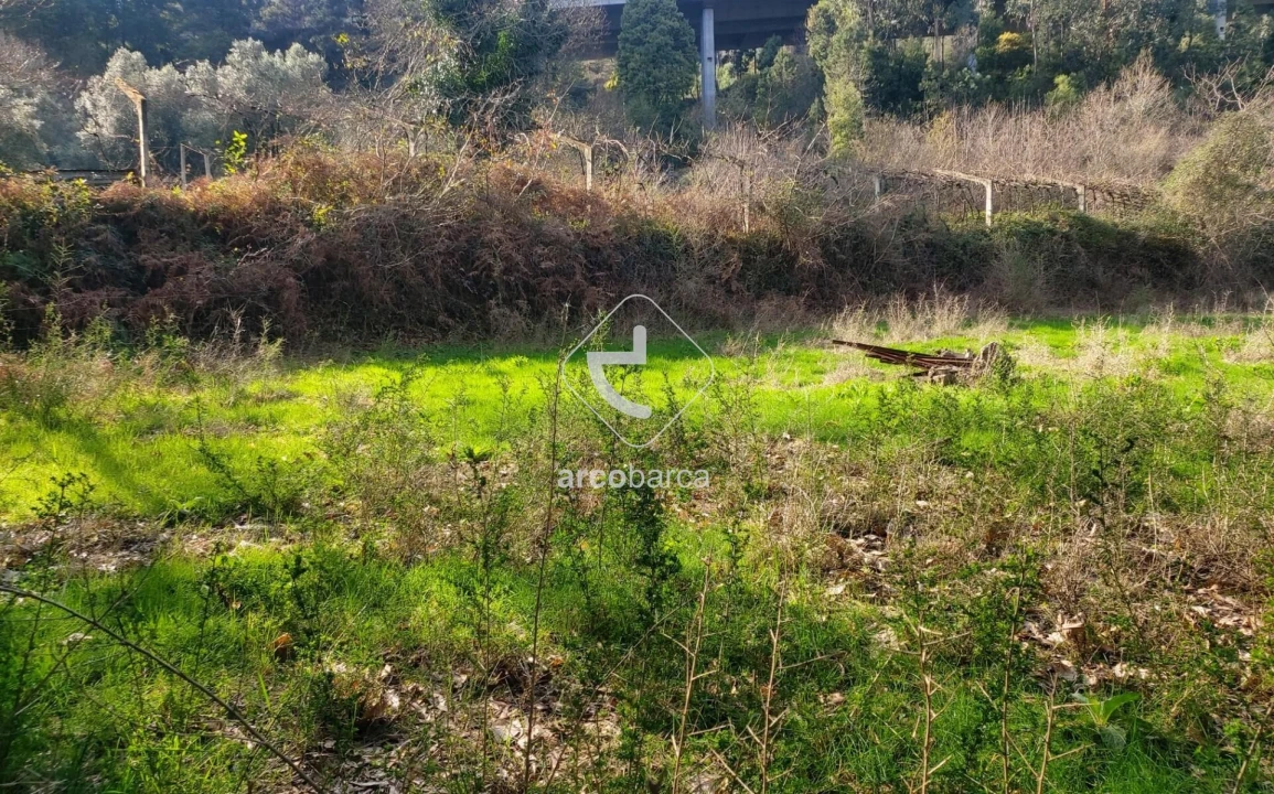 Terreno para Venda em Labruja Foto 2