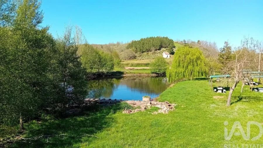 Moradia T2 para Venda em Vale de Frades e Avelanoso Foto 25