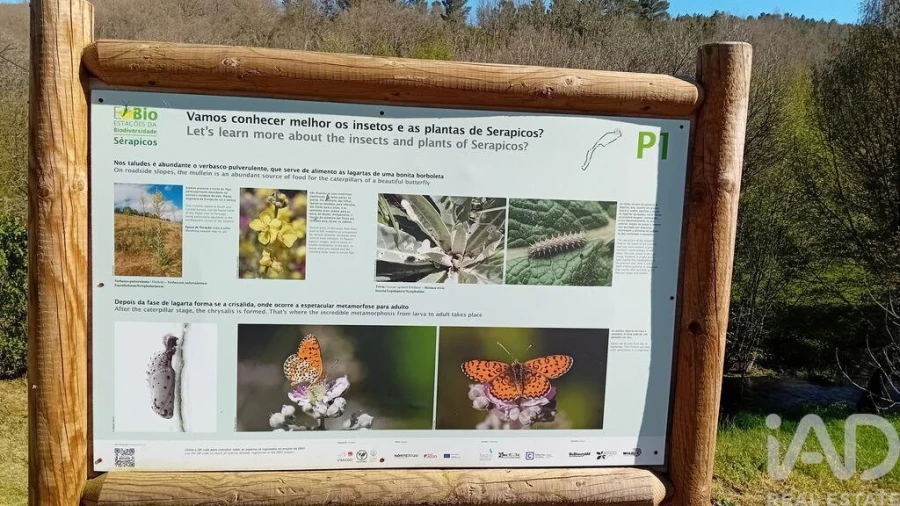 Moradia T2 para Venda em Vale de Frades e Avelanoso Foto 30