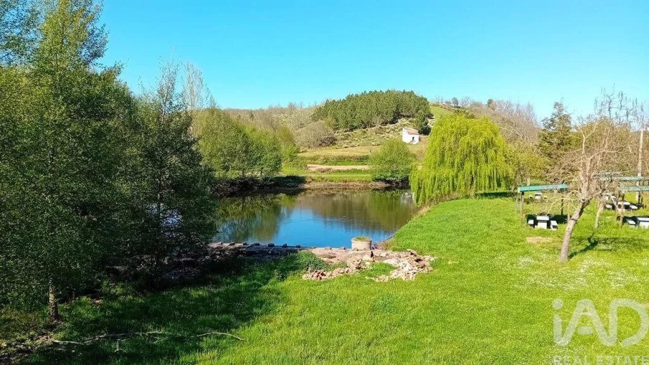 Moradia T2 para Venda em Vale de Frades e Avelanoso Foto 25