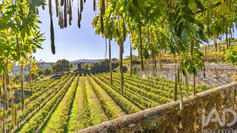 Moradia T20 para Venda em Constance Foto 28