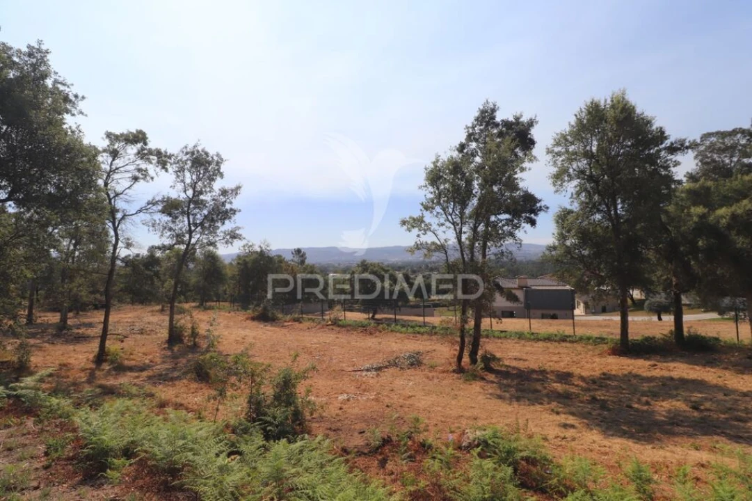 Terreno para Venda em Turiz Foto 4